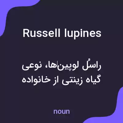 معنی russell lupines به فارسی معنی russell lupines به فارسی