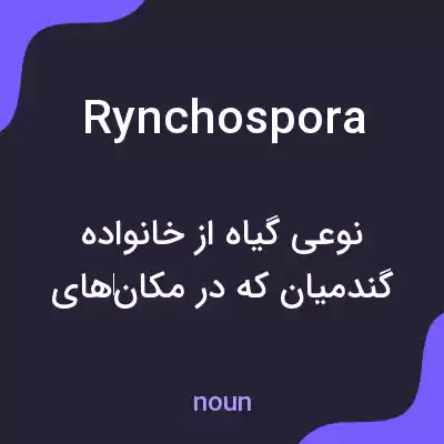معنی rynchospora به فارسی
