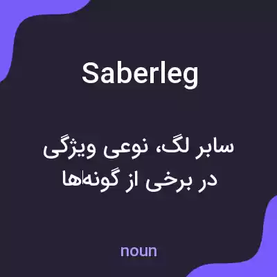 معنی saberleg به فارسی معنی saberleg به فارسی