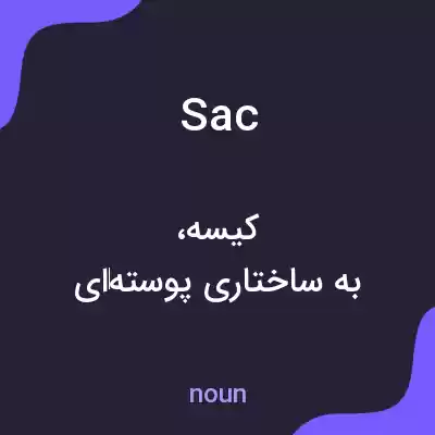 معنی sac به فارسی