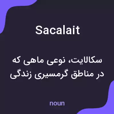 معنی sacalait به فارسی معنی sacalait به فارسی