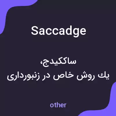 معنی saccadge به فارسی معنی saccadge به فارسی