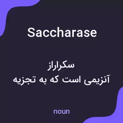معنی saccharase به فارسی معنی saccharase به فارسی