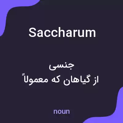 معنی saccharum به فارسی معنی saccharum به فارسی