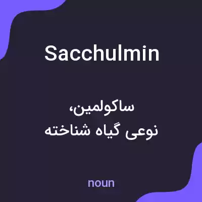 معنی sacchulmin به فارسی معنی sacchulmin به فارسی