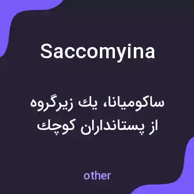 معنی saccomyina به فارسی معنی saccomyina به فارسی