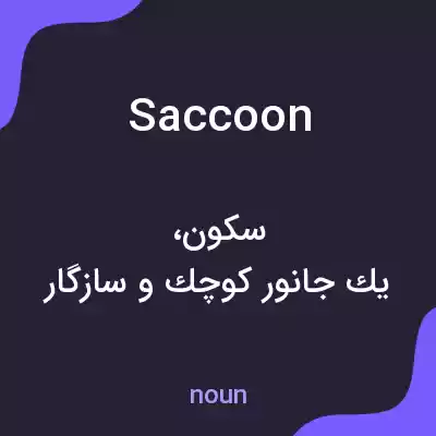 معنی saccoon به فارسی معنی saccoon به فارسی