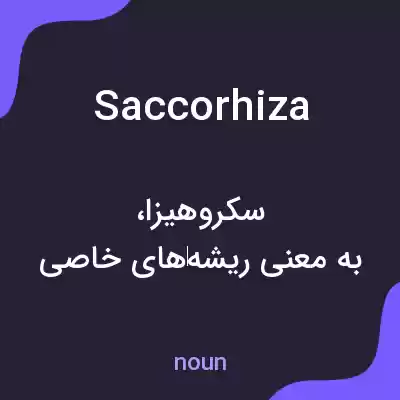 معنی saccorhiza به فارسی معنی saccorhiza به فارسی