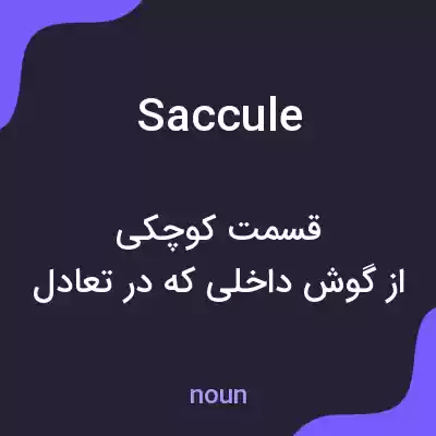معنی saccule به فارسی معنی saccule به فارسی