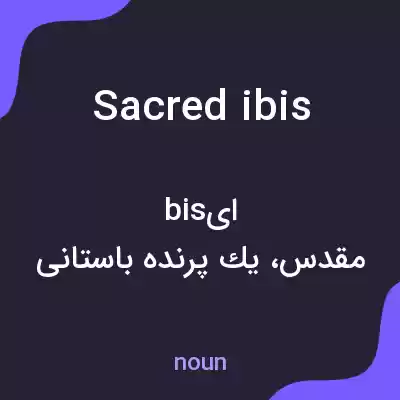 معنی sacred ibis به فارسی معنی sacred ibis به فارسی