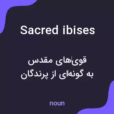 معنی sacred ibises به فارسی معنی sacred ibises به فارسی