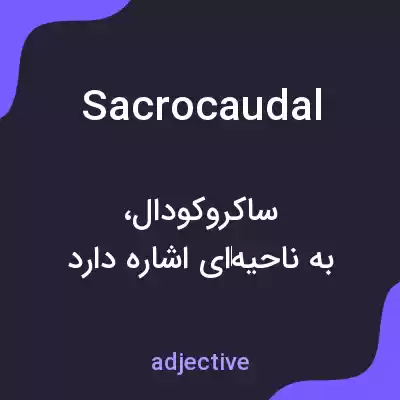 معنی sacrocaudal به فارسی