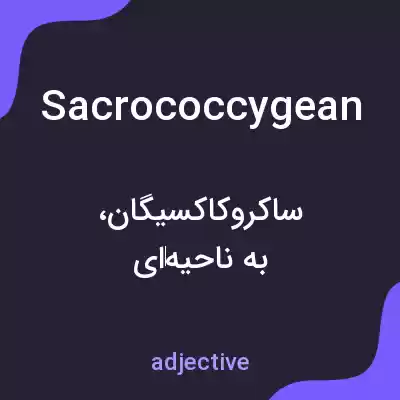 معنی sacrococcygean به فارسی معنی sacrococcygean به فارسی