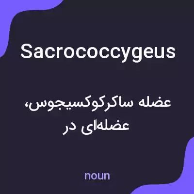 معنی sacrococcygeus به فارسی معنی sacrococcygeus به فارسی