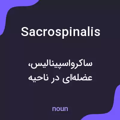 معنی sacrospinalis به فارسی معنی sacrospinalis به فارسی