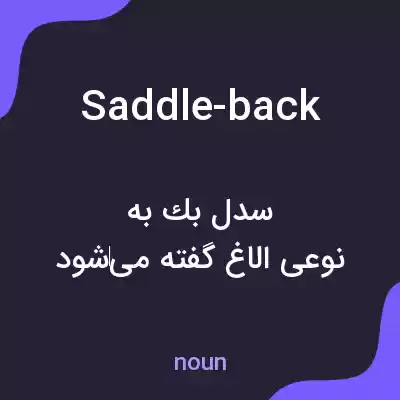 معنی saddle-back به فارسی معنی saddle-back به فارسی