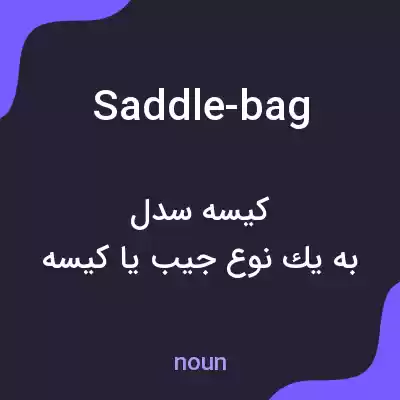معنی saddle-bag به فارسی معنی saddle-bag به فارسی