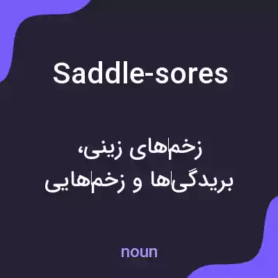 معنی saddle-sores به فارسی معنی saddle-sores به فارسی