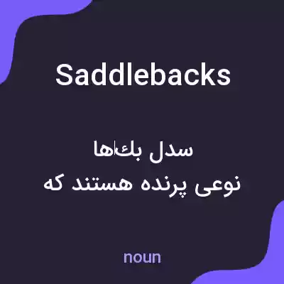 معنی saddlebacks به فارسی