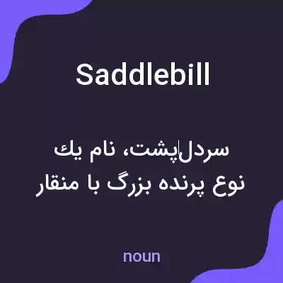 معنی saddlebill به فارسی معنی saddlebill به فارسی