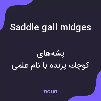 معنی saddle gall midges به فارسی معنی saddle gall midges به فارسی