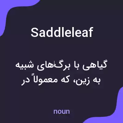 معنی saddleleaf به فارسی معنی saddleleaf به فارسی