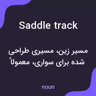 معنی saddle track به فارسی