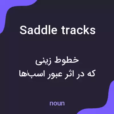معنی saddle tracks به فارسی معنی saddle tracks به فارسی
