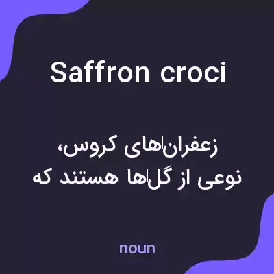 معنی saffron croci به فارسی معنی saffron croci به فارسی