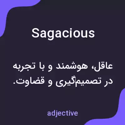 معنی sagacious به فارسی معنی sagacious به فارسی