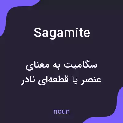 معنی sagamite به فارسی معنی sagamite به فارسی