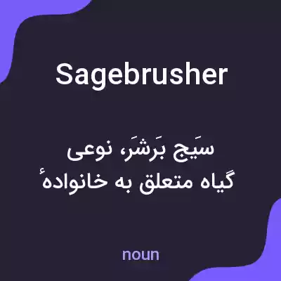 معنی sagebrusher به فارسی معنی sagebrusher به فارسی