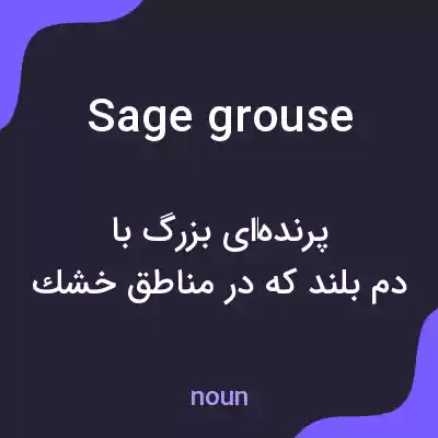 معنی sage grouse به فارسی معنی sage grouse به فارسی