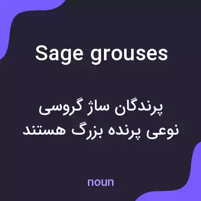معنی sage grouses به فارسی معنی sage grouses به فارسی