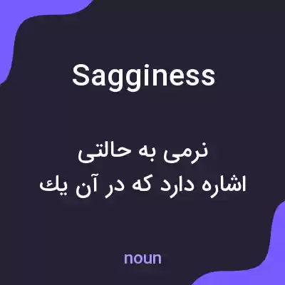 معنی sagginess به فارسی معنی sagginess به فارسی