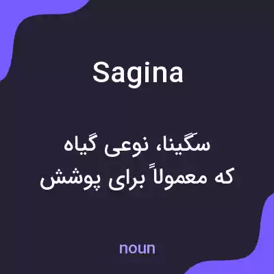 معنی sagina به فارسی معنی sagina به فارسی