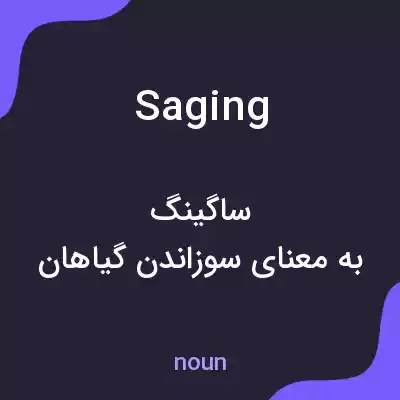 معنی saging به فارسی معنی saging به فارسی