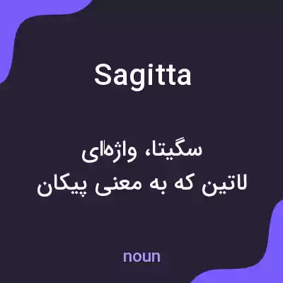 معنی sagitta به فارسی معنی sagitta به فارسی