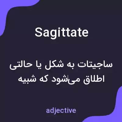 معنی sagittate به فارسی معنی sagittate به فارسی