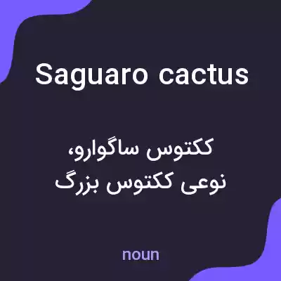معنی saguaro cactus به فارسی معنی saguaro cactus به فارسی