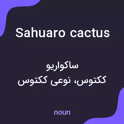 معنی sahuaro cactus به فارسی معنی sahuaro cactus به فارسی