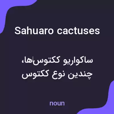 معنی sahuaro cactuses به فارسی معنی sahuaro cactuses به فارسی