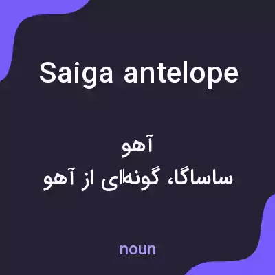 معنی saiga antelope به فارسی معنی saiga antelope به فارسی