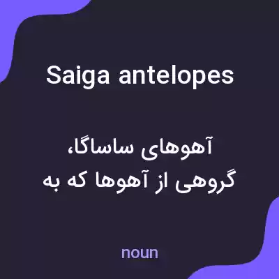 معنی saiga antelopes به فارسی معنی saiga antelopes به فارسی