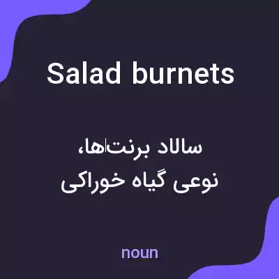 معنی salad burnets به فارسی معنی salad burnets به فارسی