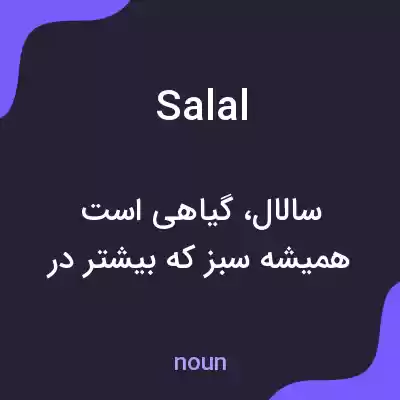معنی salal به فارسی معنی salal به فارسی