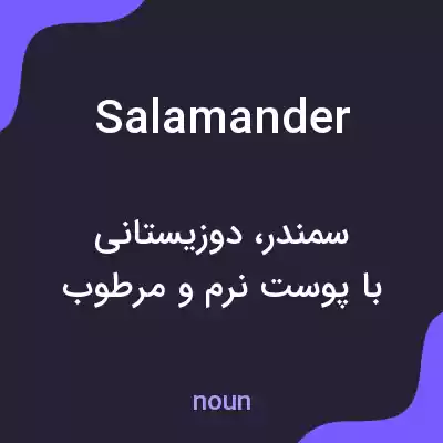 معنی salamander به فارسی معنی salamander به فارسی