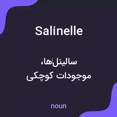 معنی salinelle به فارسی معنی salinelle به فارسی