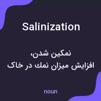 معنی salinization به فارسی معنی salinization به فارسی
