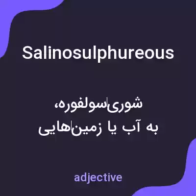 معنی salinosulphureous به فارسی معنی salinosulphureous به فارسی